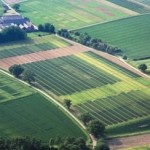 Де купити садову ділянку?