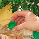 Підживлення кімнатних рослин.