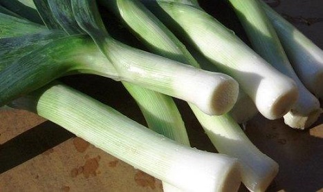 Порей цибуля, зібрано якої гарний врожай.