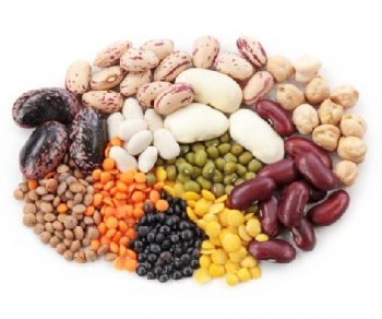 Зберігання насіння - умови і правила