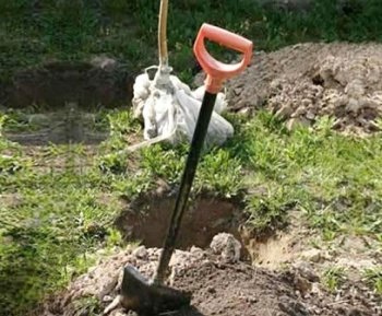 Підготовка посадкових ямок для саджанців