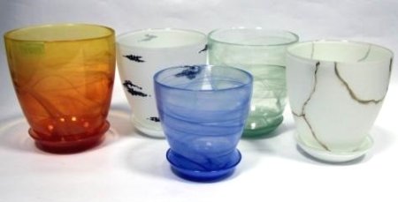 Орхідея горщик.